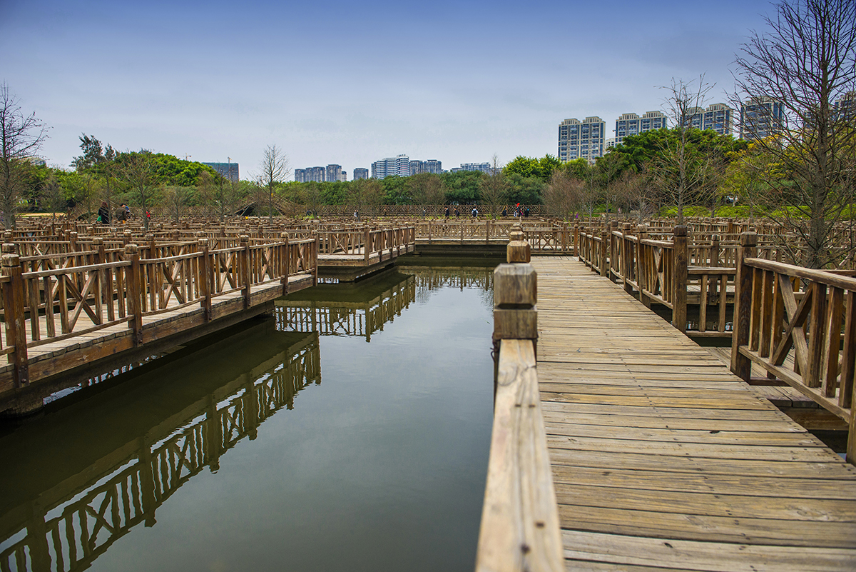 厦门五缘湾湿地公园勇闯迷宫步栈道