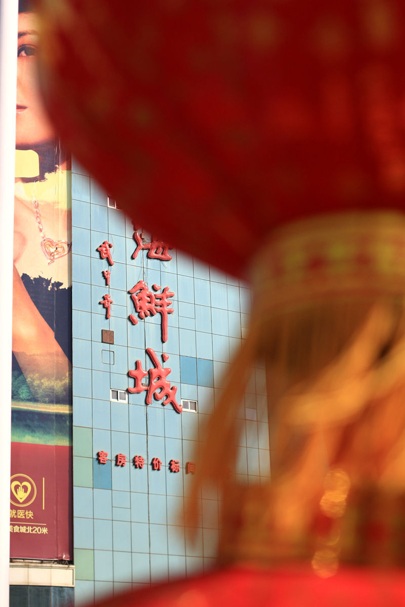 【祝朋友们--发财幸福摄影图片】风光旅游摄影