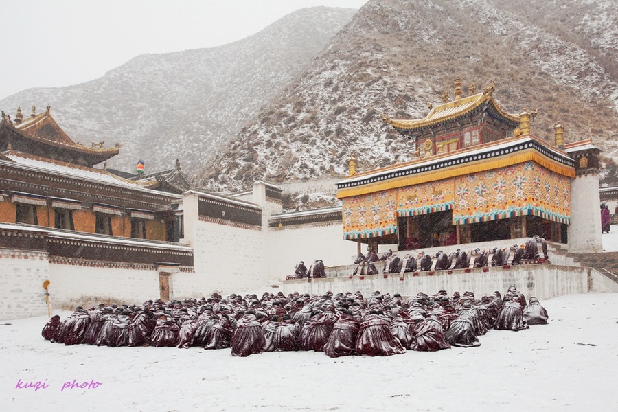 【行摄青海、甘南---风雪下的拉卜楞寺摄影图片