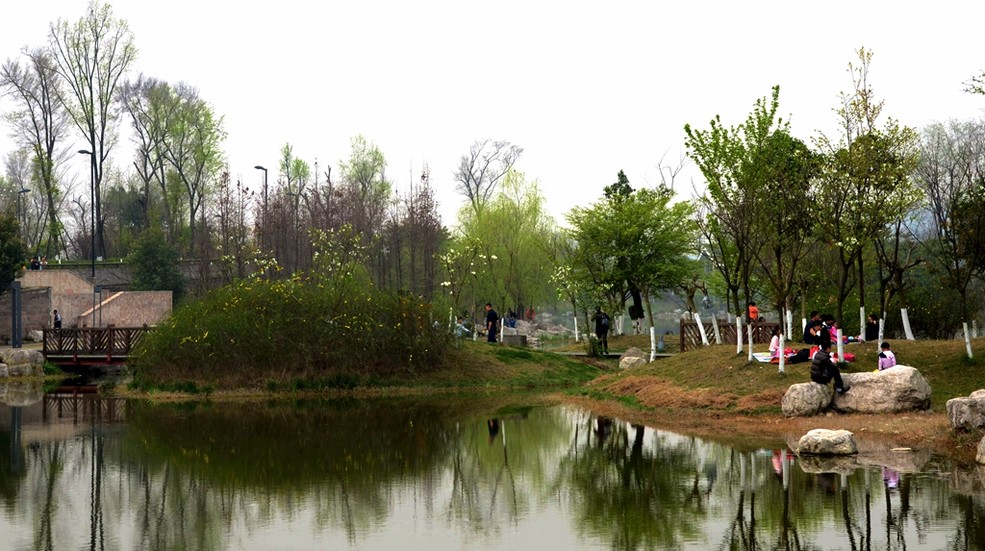 阴天多云,雾蒙蒙的锦城公园地_尼康D7000论坛