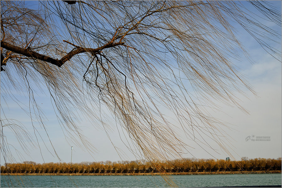 【冬末的昆明湖摄影图片】风光旅游摄影