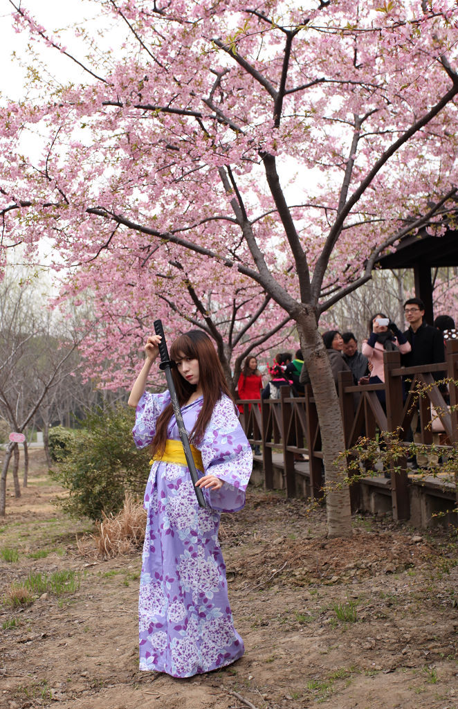 上海顾村公园樱花节拉开了序幕