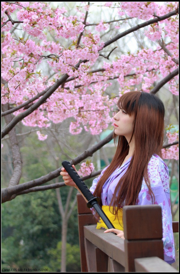 【樱花树下的日本女忍者摄影图片】人像摄影