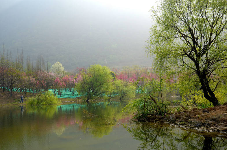【春意盎然的贵阳花溪湿地公园摄影图片】生态