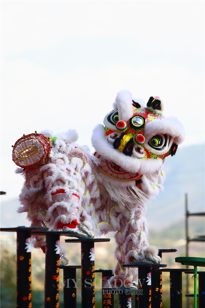 2015阳光米易龙狮大赛狮