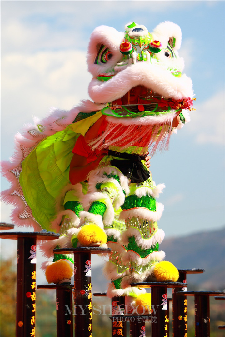 2015阳光米易龙狮大赛狮