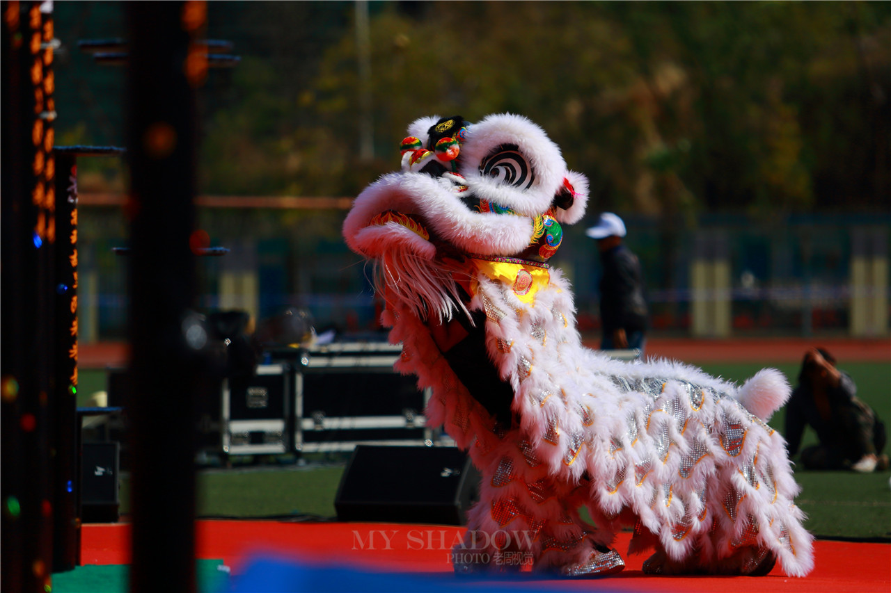 2015阳光米易-龙狮大赛(狮)