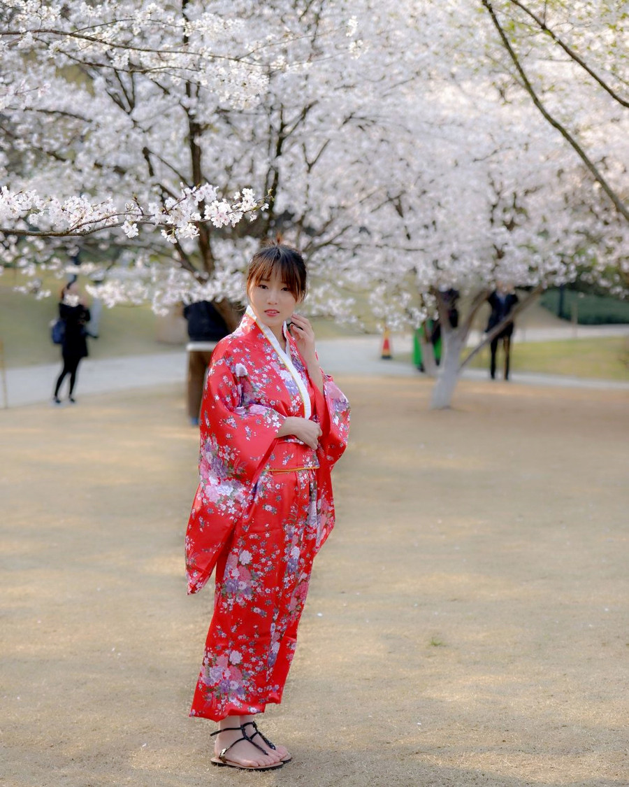 樱花,和服女生