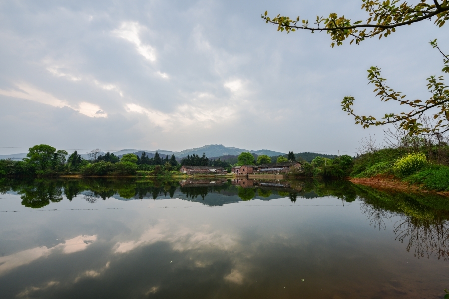 【小池塘的风云变幻--江西吉安市永新县郊外偶