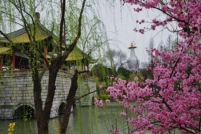 【春到扬州廋西湖摄影图片】风光旅游摄影