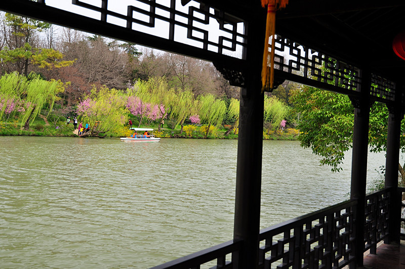 【春到扬州廋西湖摄影图片】风光旅游摄影