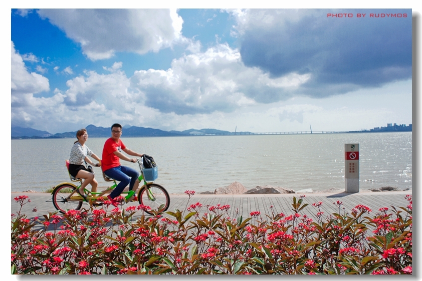 【深圳红树林海滨公园摄影图片】风光旅游摄影