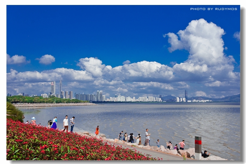【深圳红树林海滨公园摄影图片】风光旅游摄影