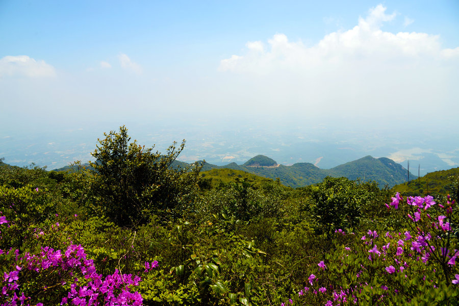 惠州罗浮山