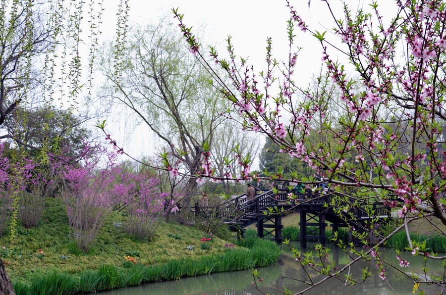 【扬州瘦西湖与兴化油菜花摄影图片】风光旅游