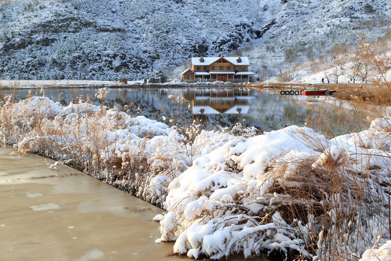 四月飞雪压花红