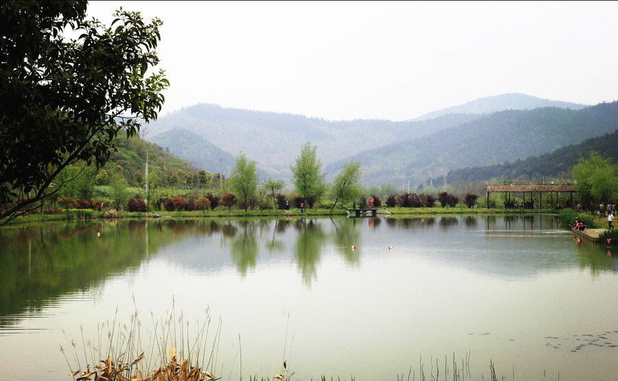 [给点阳光] 江宁石塘村景色 (共p)