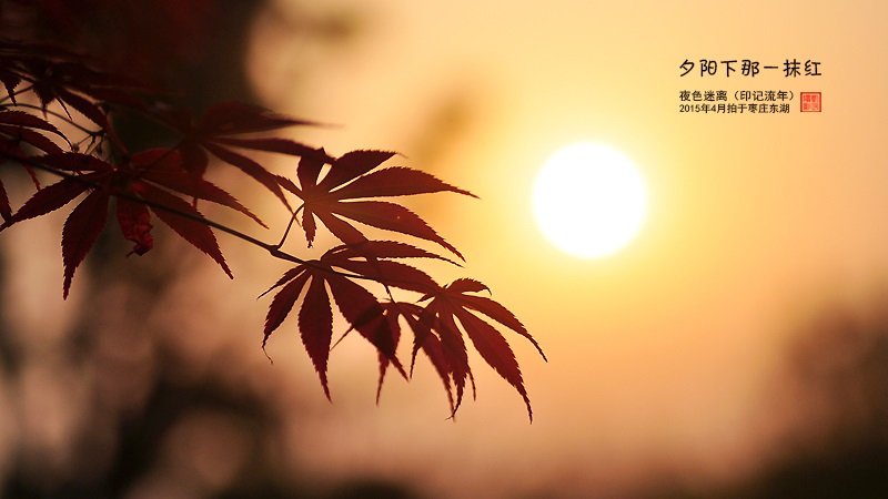 ===夕阳下,那一抹红===