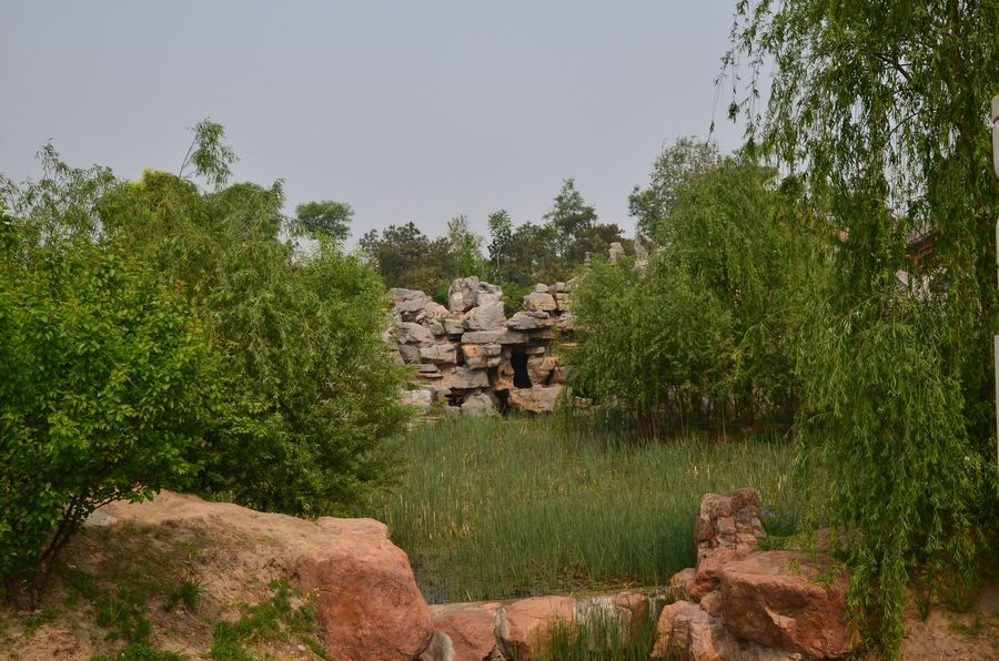 【北京丰台榆树庄公园摄影图片】风光摄影