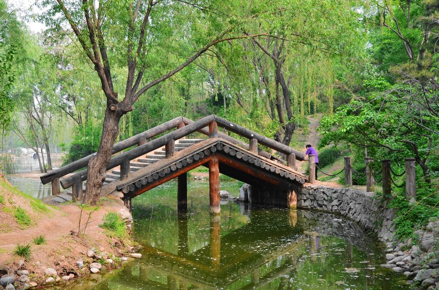 北京丰台榆树庄公园