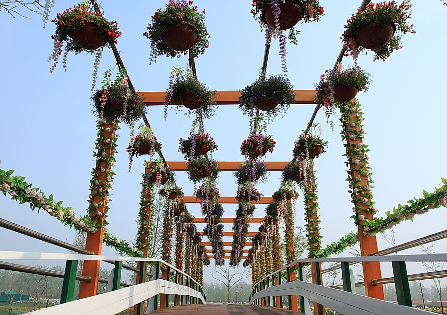 【荷兰花海A摄影图片】风光旅游摄影