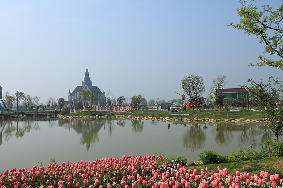 【荷兰花海A摄影图片】风光旅游摄影