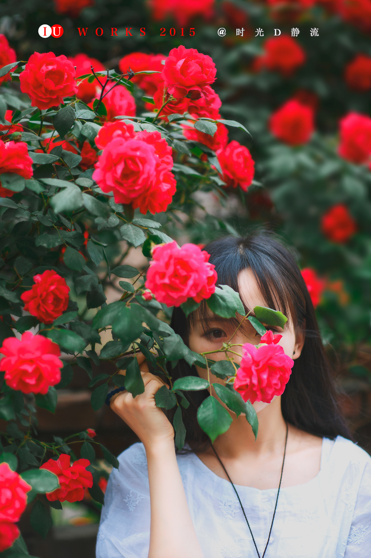 【暗香】 不一样的蔷薇花人像