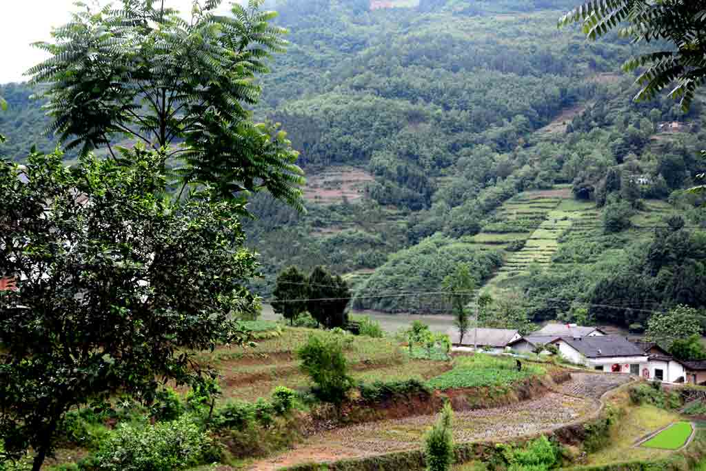 山村的早晨