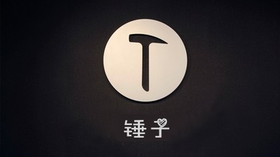 手机综合讨论区 收藏 分享  如果锤子手机的背面logo换成这样,老罗会