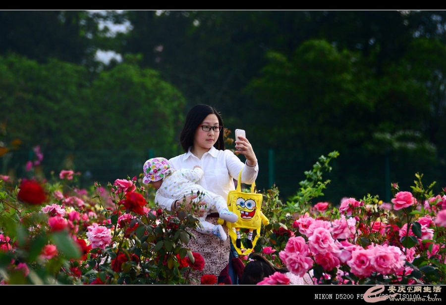 【安庆的月季花园人物偷拍摄影图片】人像摄影