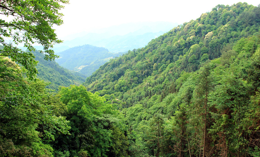 依山傍水 一路风景 (共p)