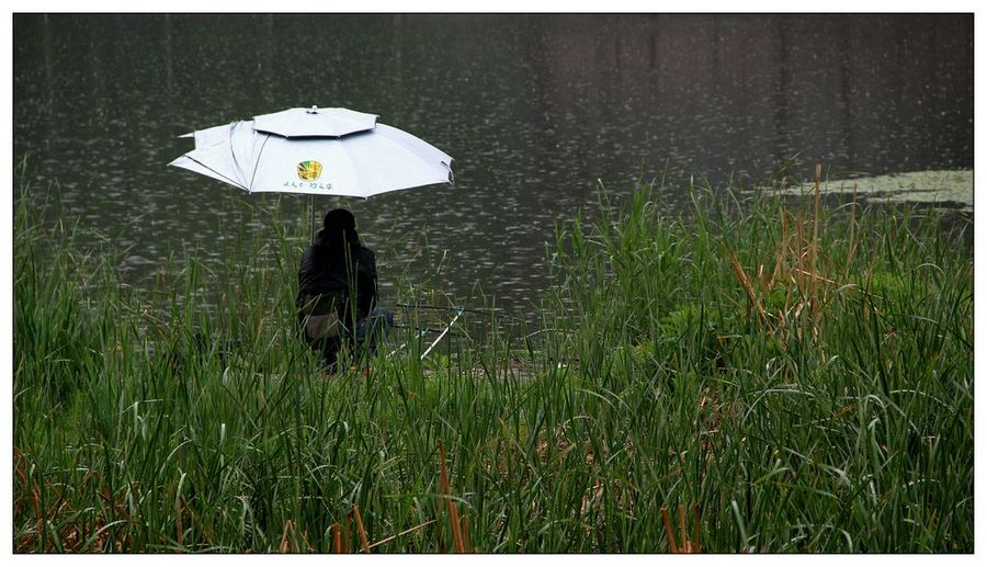 雨中的钓鱼人