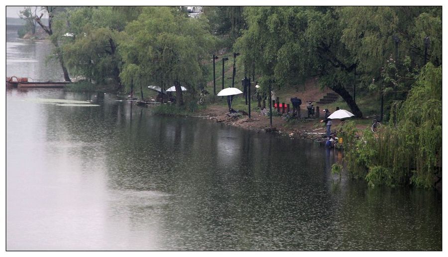 雨中的钓鱼人