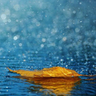 夏天的雨风景壁纸 第一辑