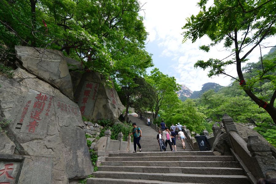 登泰山