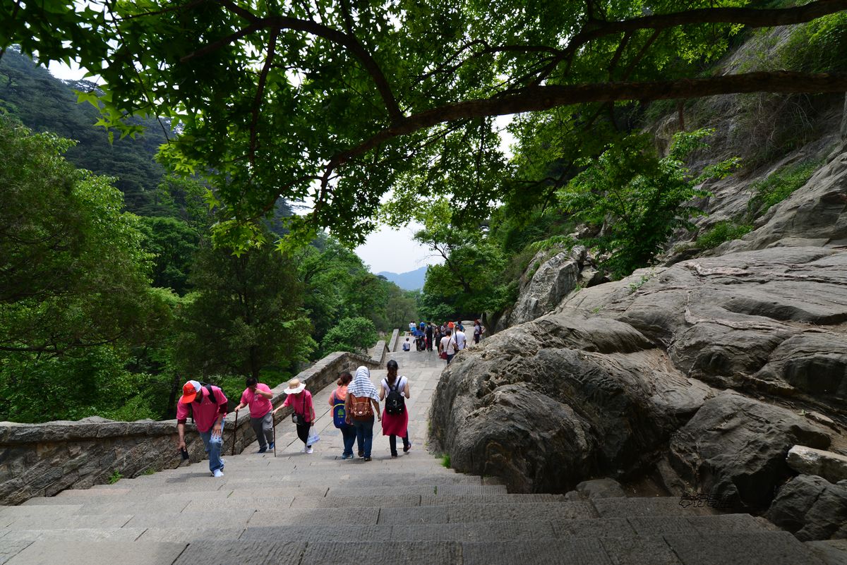 登泰山