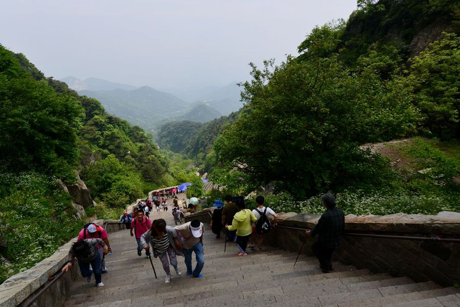 登泰山