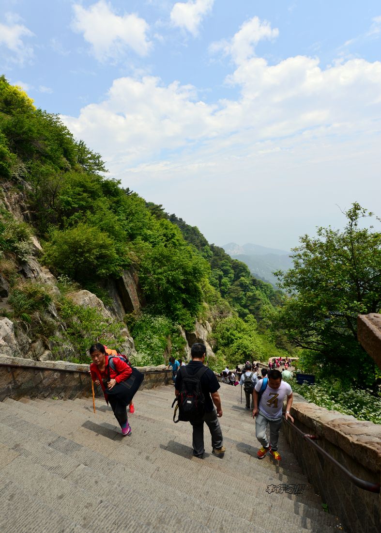 登泰山