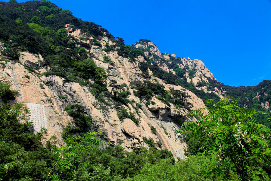 登泰山