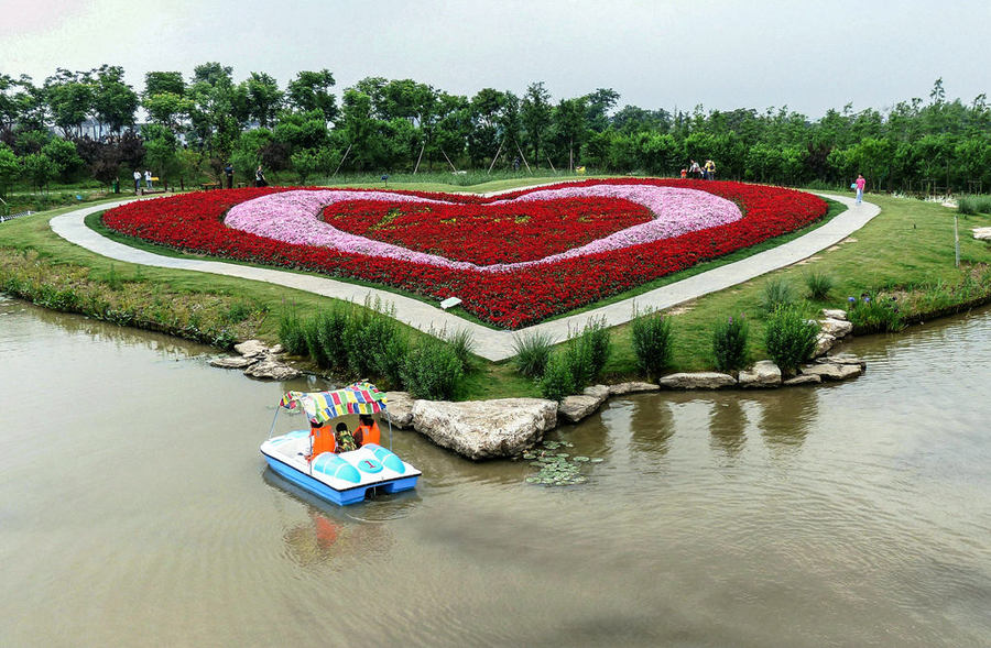 浦东周浦花海生态园(上)