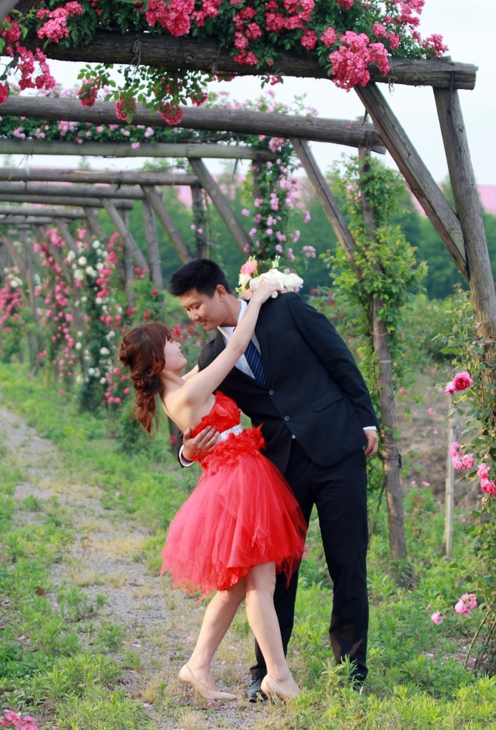 香薇玫瑰庄园蹭拍一对幸福的恋人