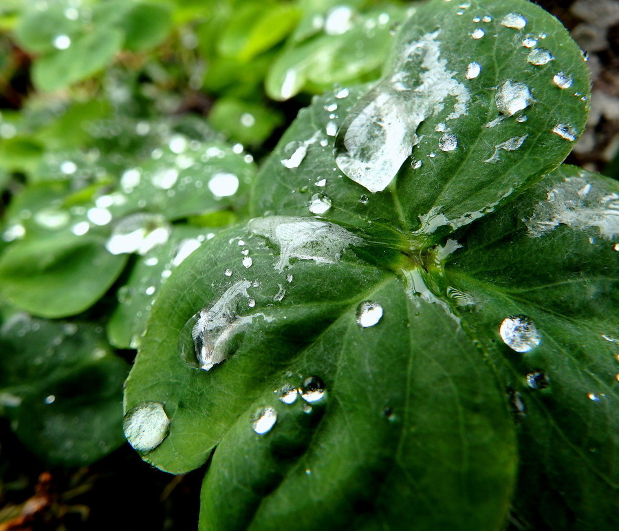 三月里的小雨