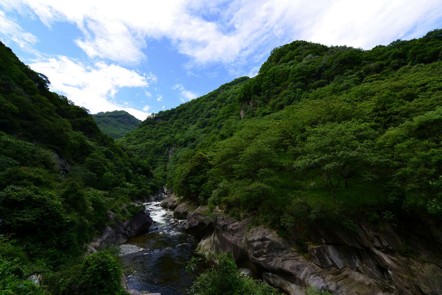 广元唐家河自然保护区