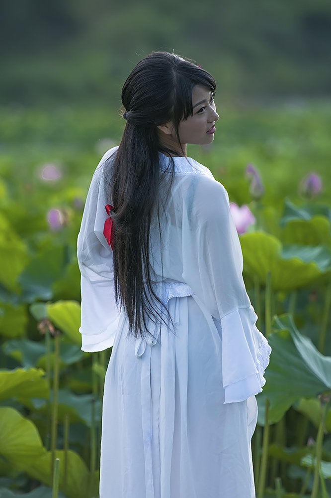 荷花仙女