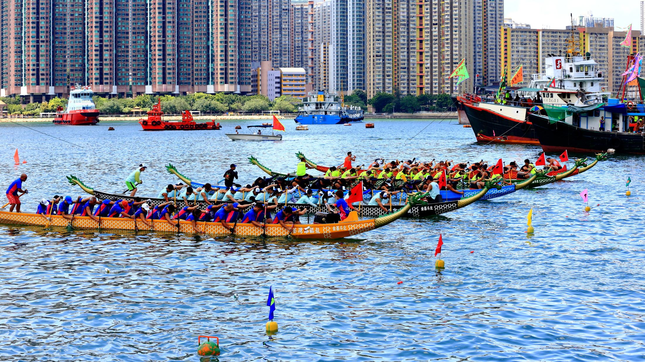 香港荃湾龙舟竞渡