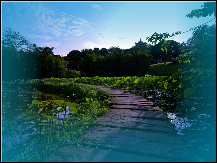 重庆大学虎溪新校区晋湖风景