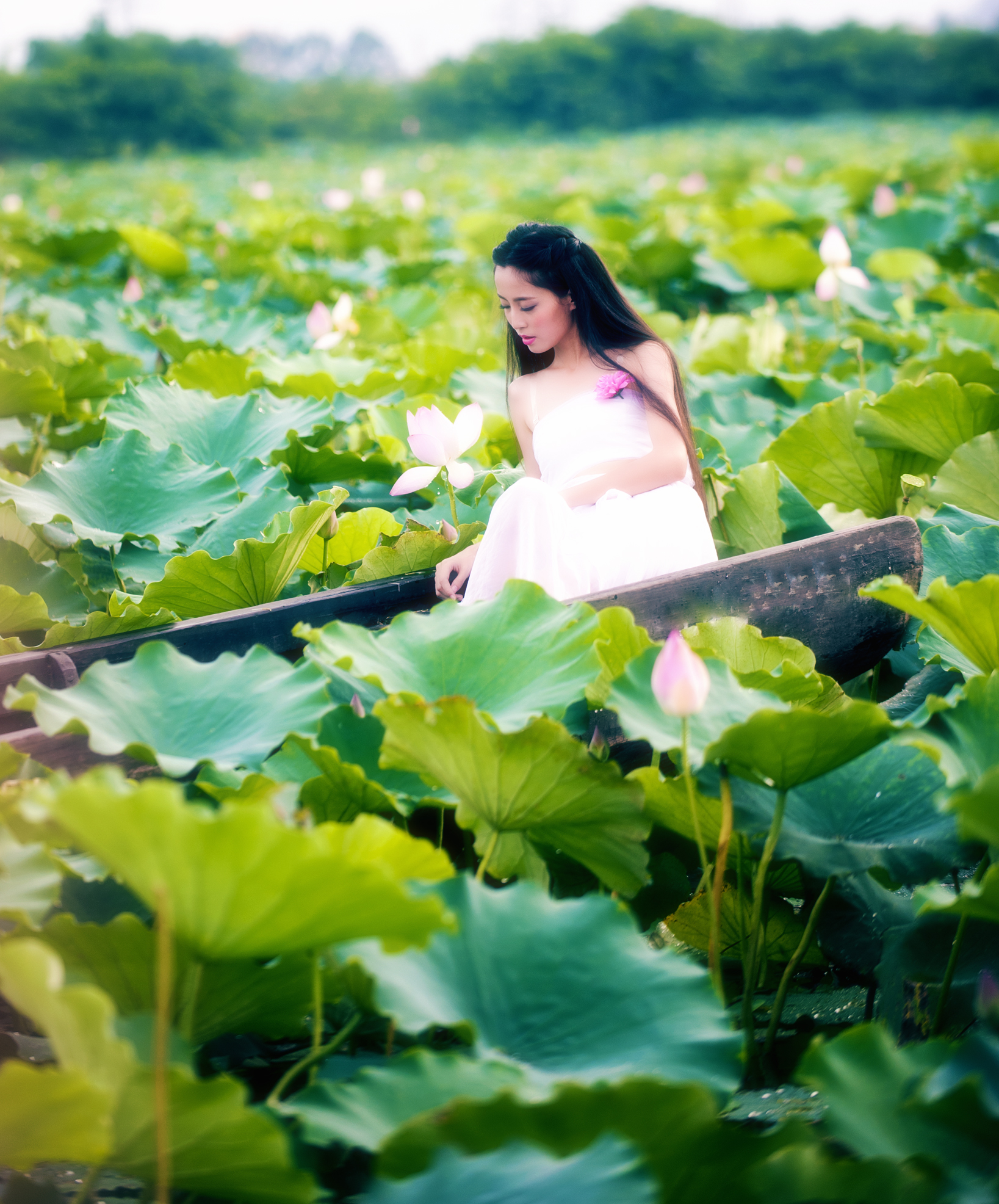 【荷池飘仙摄影图片】人像摄影_浏影粤飘_太平洋电脑