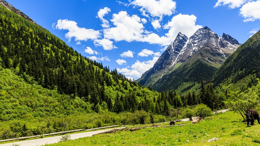 【川西行之十二--四姑娘山.双桥沟景区摄影图片