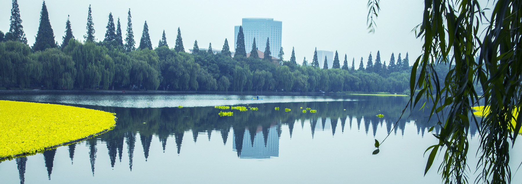 浙江大学华家池校区掠影