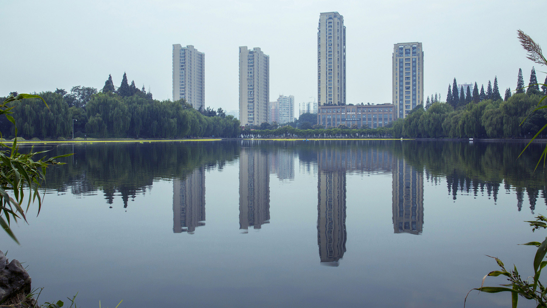 浙江大学华家池校区掠影